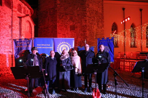 Il Rotary Biella partecipa alla Giornata Internazionale per l’eliminazione della violenza contro le donne.